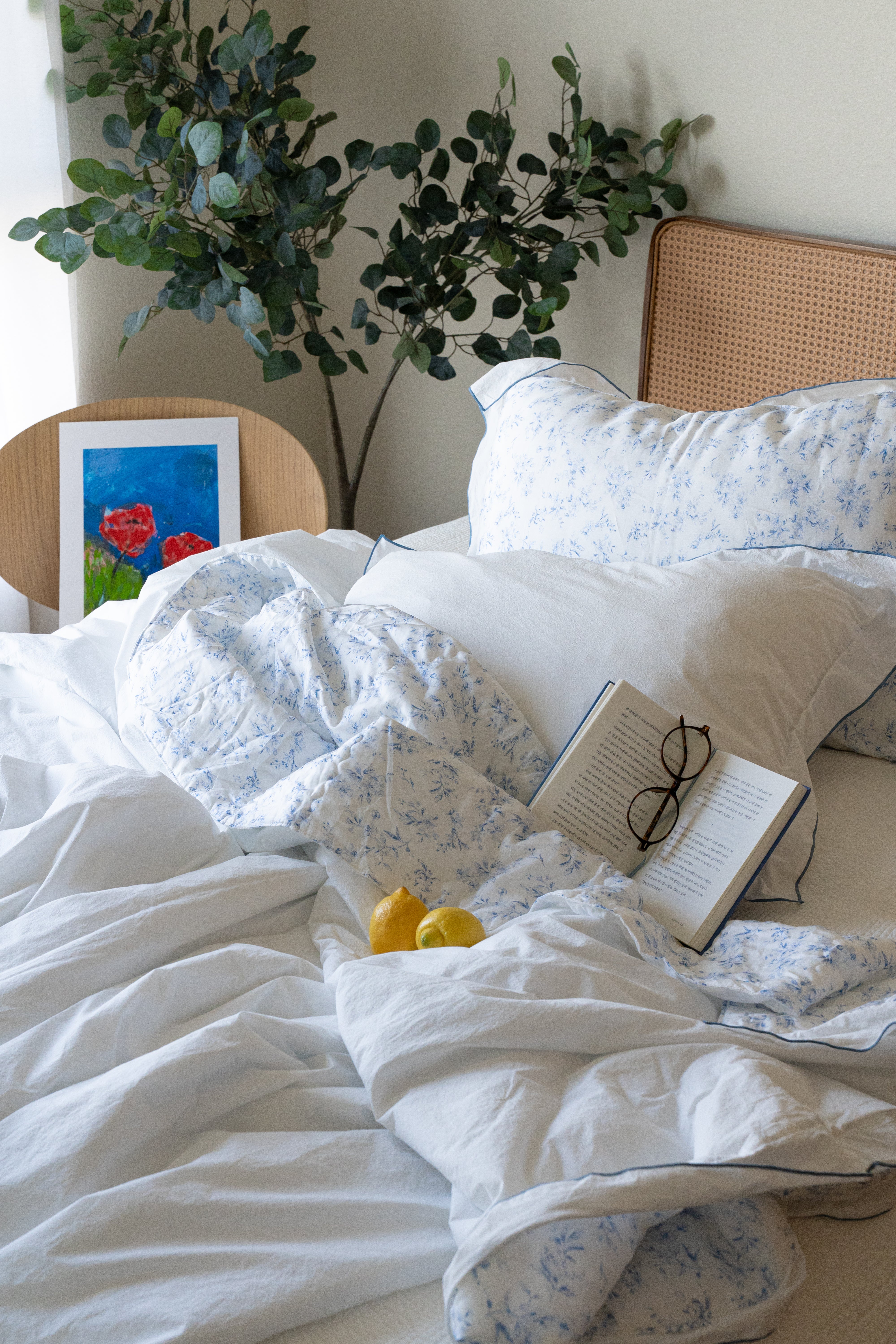 Moonlight Summer Comforters